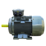VIETHUNG 18.5 kW Motor – 3000 RPM
